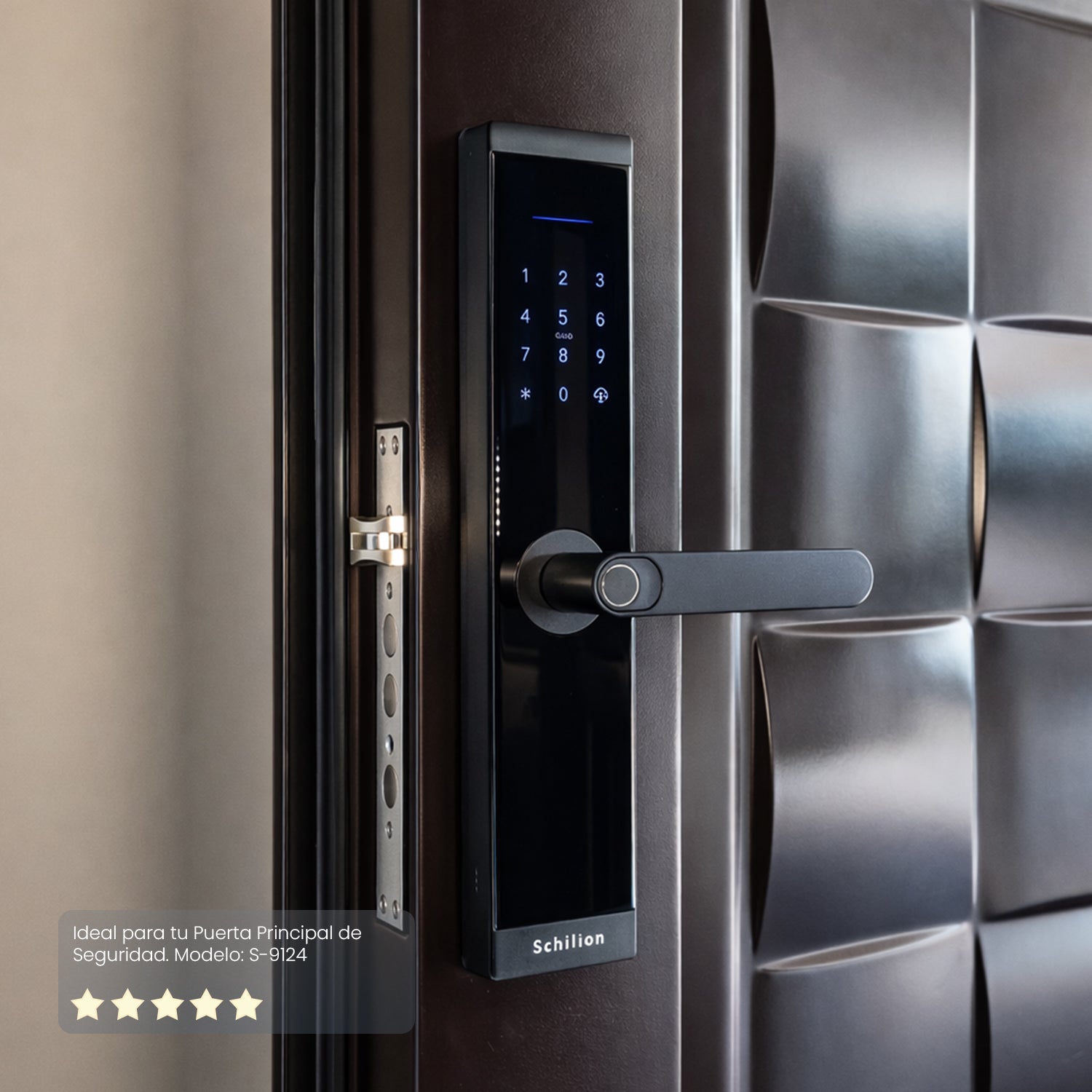 Puertas de Seguridad - Cerradura Electrónica Inteligente Alta Seguridad