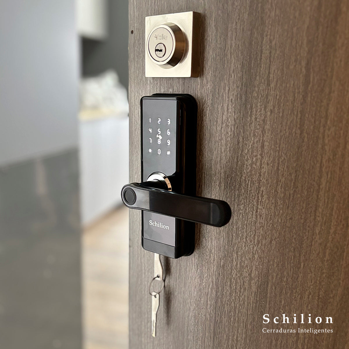 Cerradura electrónica Puerta interor