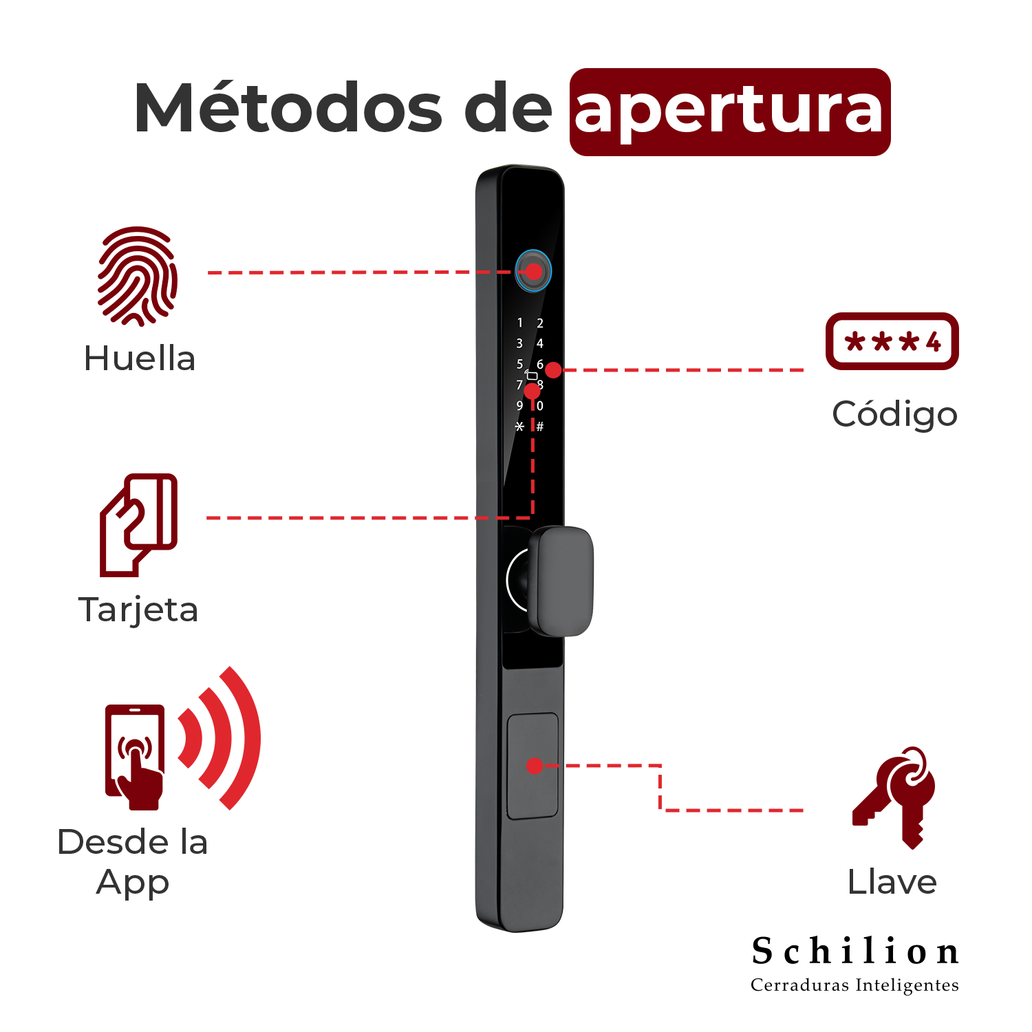 Cerradura Electrónica Inteligente Puerta Abatible